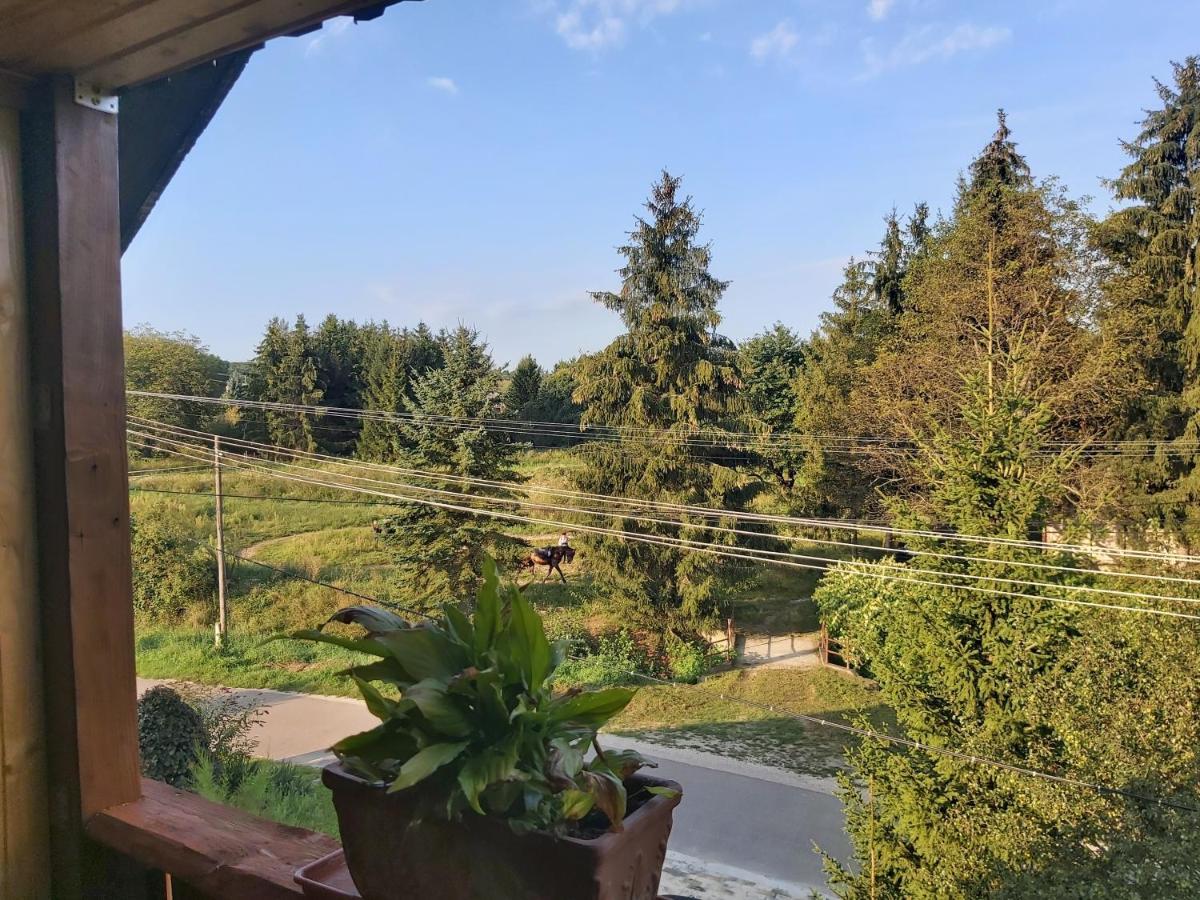 Готель Fenyofa Vendeghaz Сільвашварад Екстер'єр фото