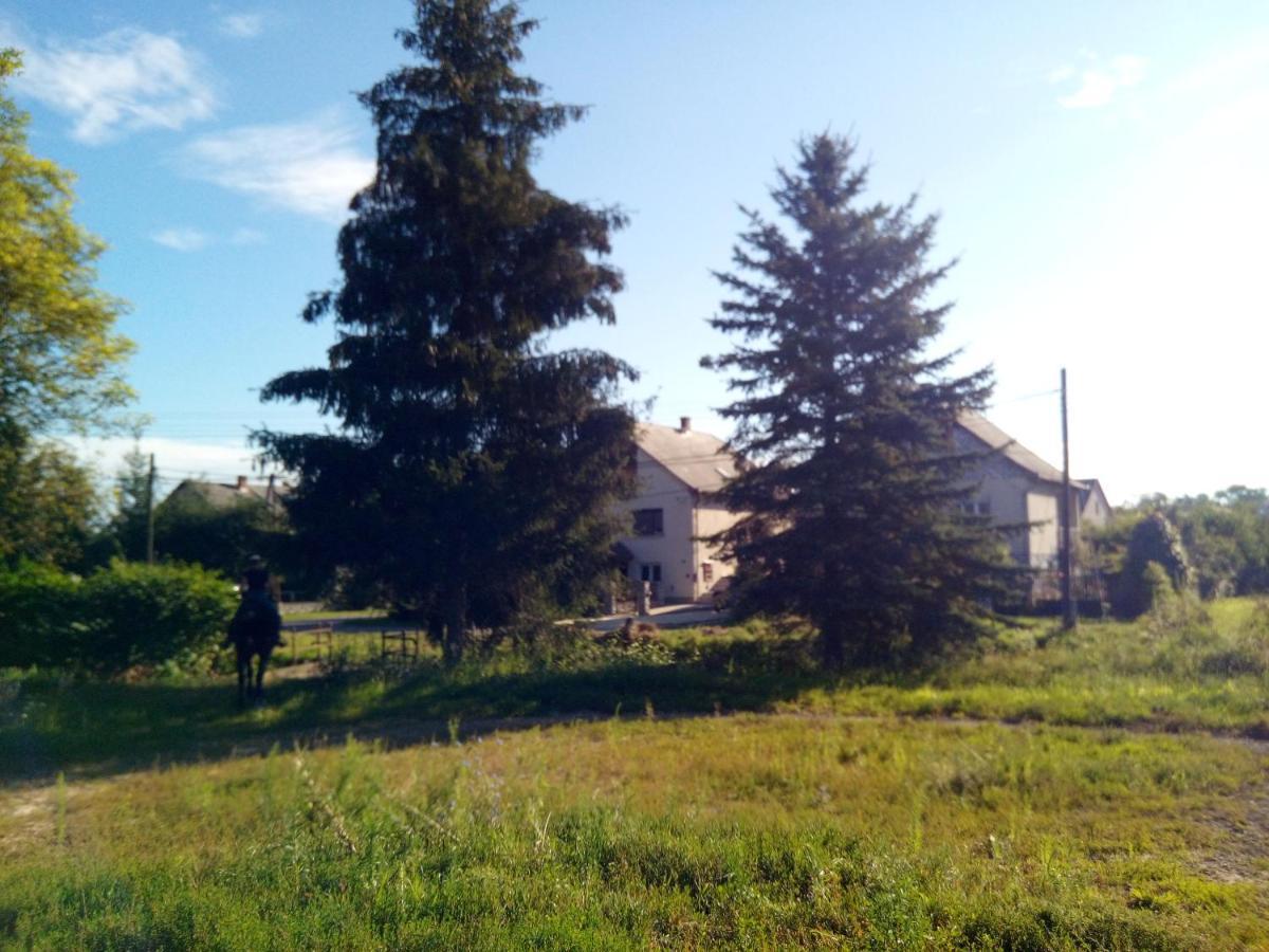 Готель Fenyofa Vendeghaz Сільвашварад Екстер'єр фото